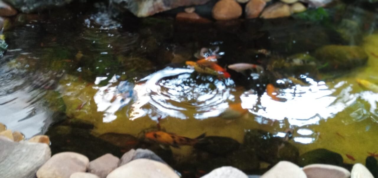 WhatsApp Image 2025-08-18 at 08.35.40